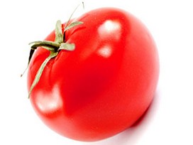 reife Tomate - Link zu Kochtipps