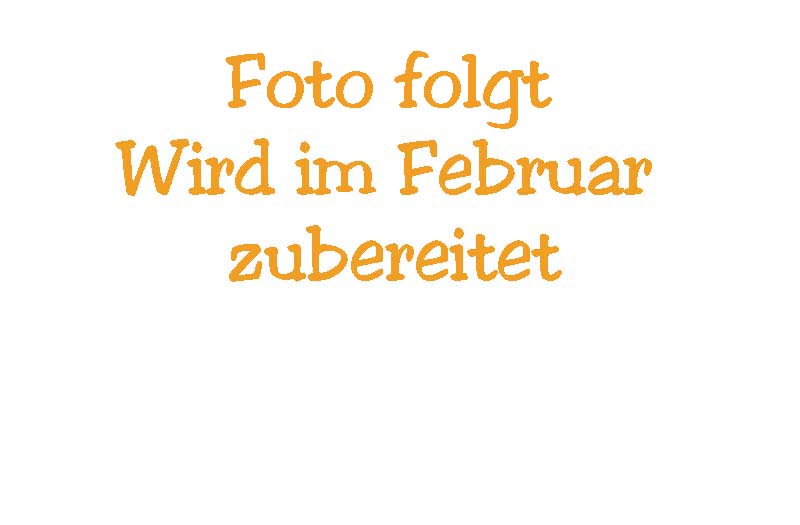 Heimathäppchen Kölsche Schrotteln Kölsche Schrotteln